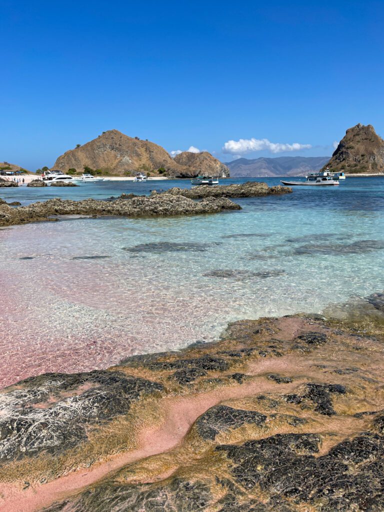 flores indonesia pink beach