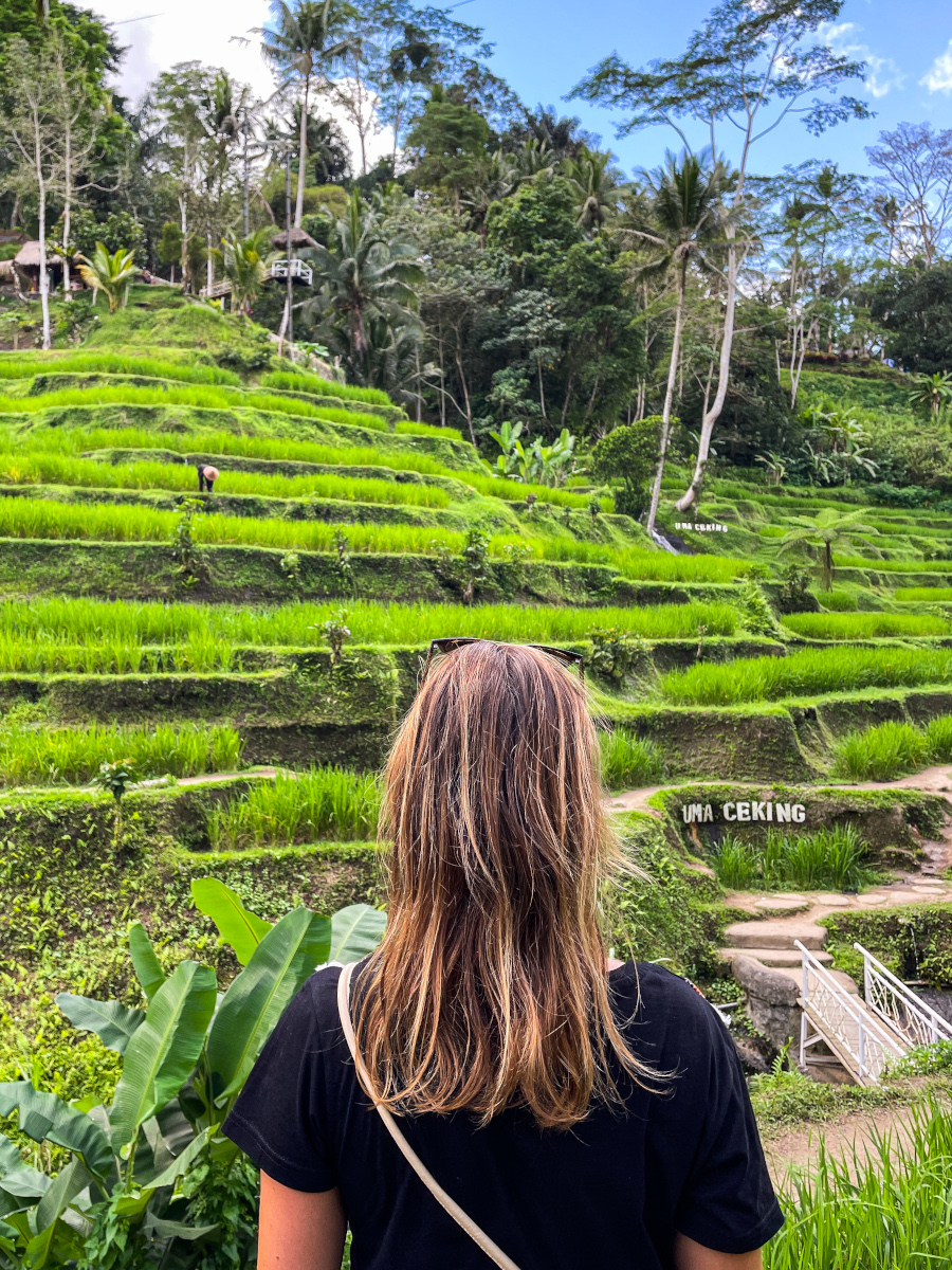 ubud bali tegalalang risaie
