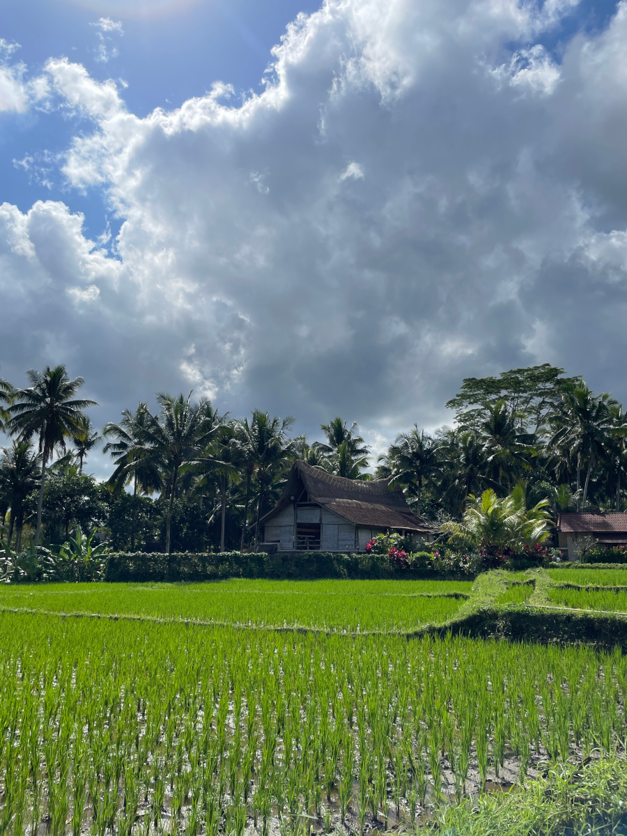 risaie ubud bali