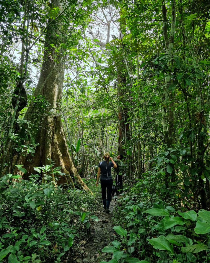 amazzonia colombia san antonio perù