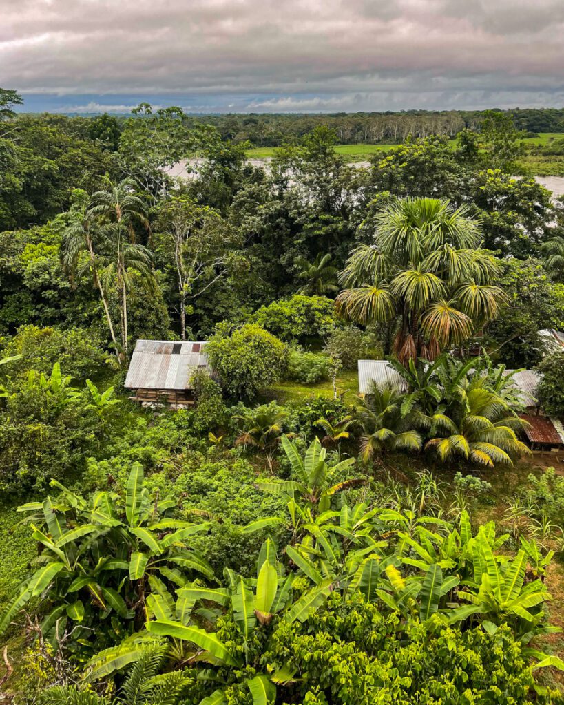 selva amazzonia colombia