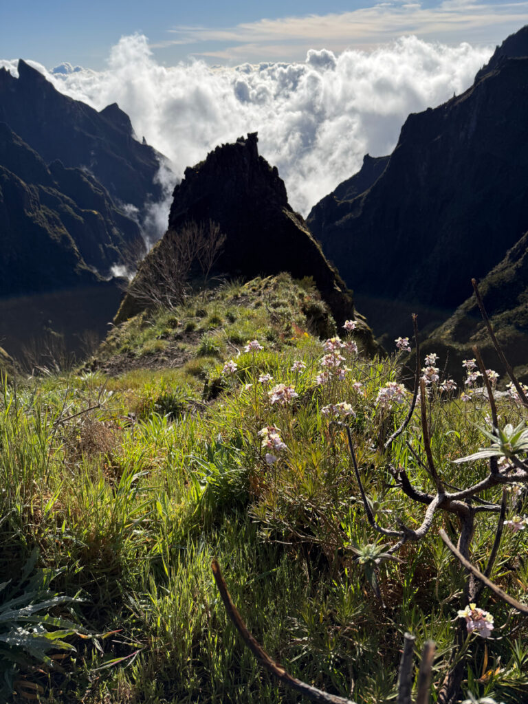 sentiero PR1 madeira
