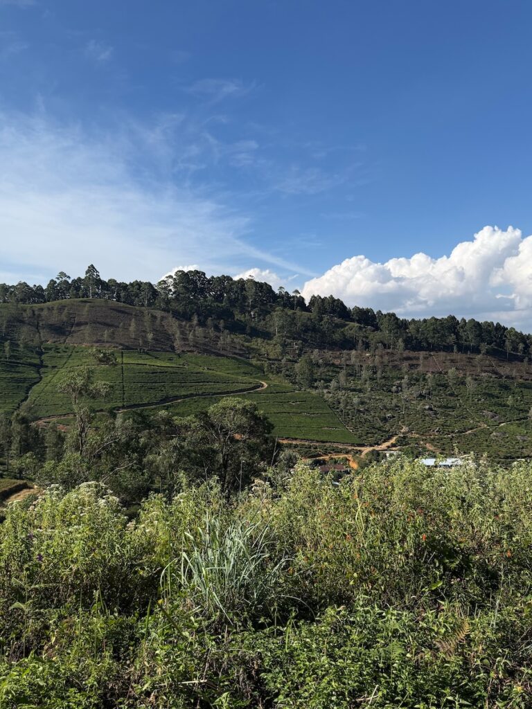 panorama dal finestrino
